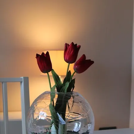 A Casa Di Elisa דירה